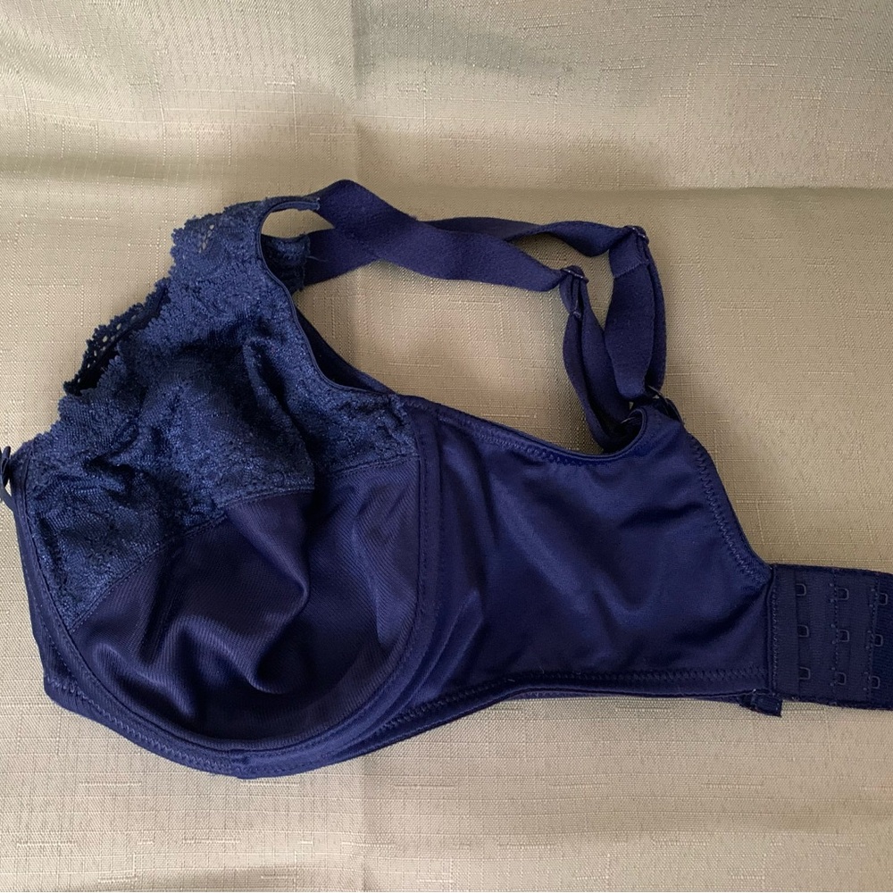 Lilyette Deep Blue Lace Bra